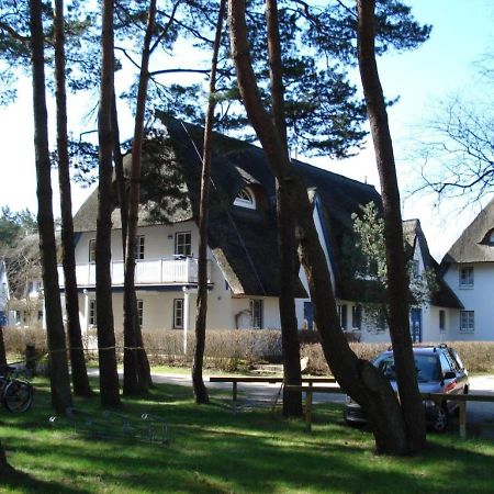 Zingst Achtern Diek 12D Elly 외부 사진