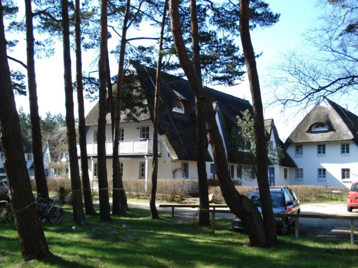 Zingst Achtern Diek 12D Elly 외부 사진