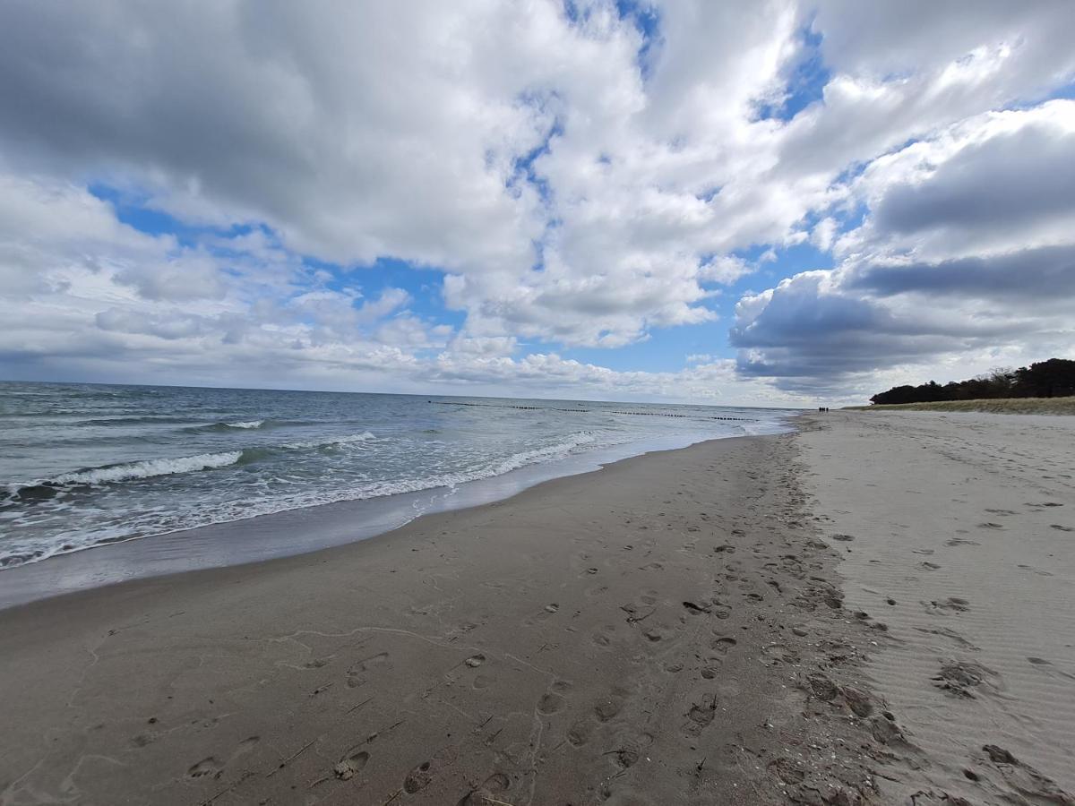 Zingst Achtern Diek 12D Elly 외부 사진