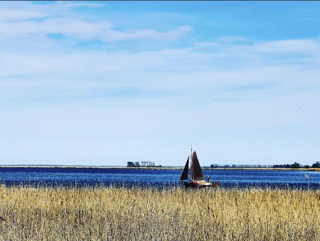 Zingst Achtern Diek 12D Elly 외부 사진