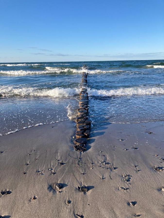 Zingst Achtern Diek 12D Elly 외부 사진
